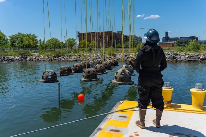 Crew member in a hard hat watching reef balls suspended on lines over the water