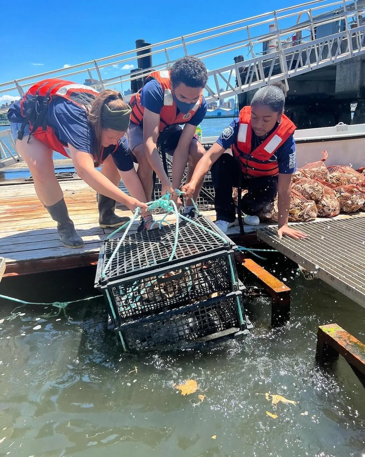 Three student interns in life vests lower a mesh oyster cage from a dock into the harbor