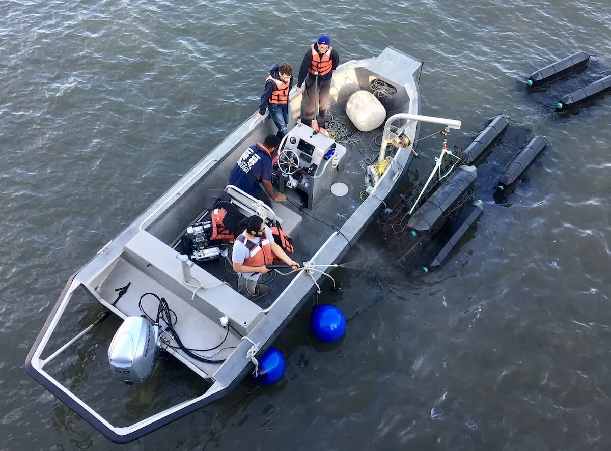 Crew aboard a workboat hose down floating oyster cages in the harbor