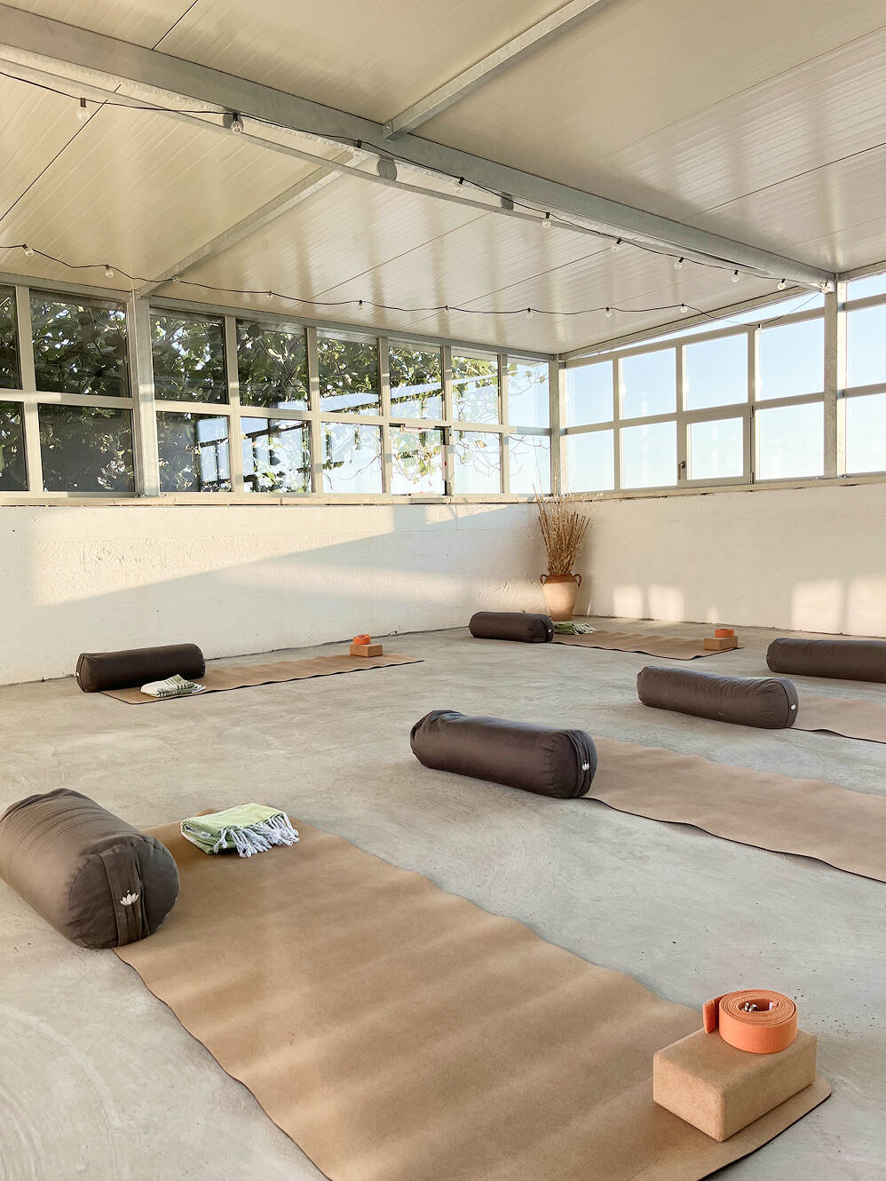 Bright, minimalist yoga studio with large windows and five brown yoga mats laid out on the floor, each paired with a cylindrical bolster, a folded towel, and yoga props including blocks and straps, with a potted plant in the corner.