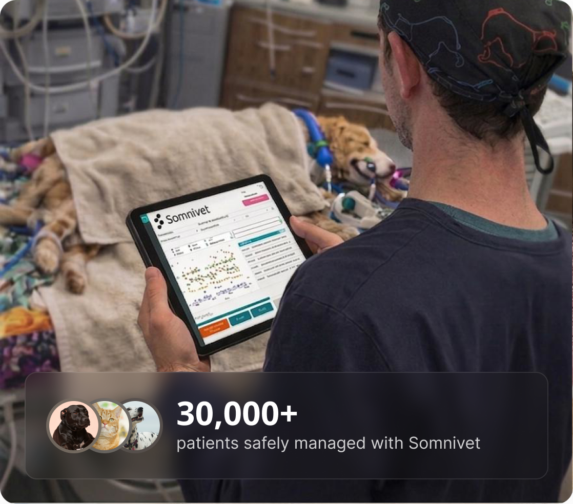 Veterinarian holding a tablet displaying Somnivet software with a dog lying under a blanket in a clinical setting.