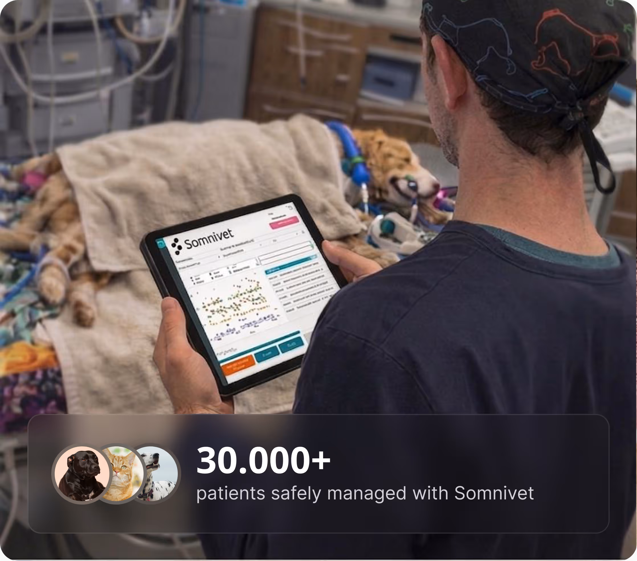 Veterinarian holding a tablet displaying Somnivet software with a dog lying under a blanket in a clinical setting.