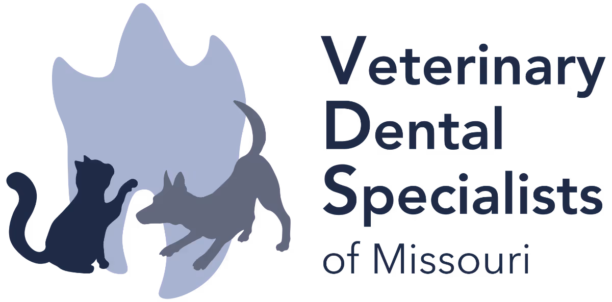 Logo of Veterinary Dental Specialists of Missouri featuring a cat and a dog silhouette in front of a tooth shape.