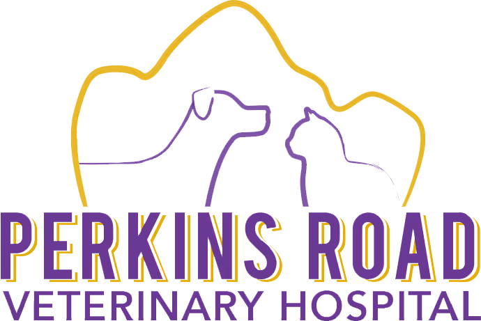 Perkins Road Veterinary Hospital logo with purple outline of a dog and a cat under a gold paw print shape and bold text.