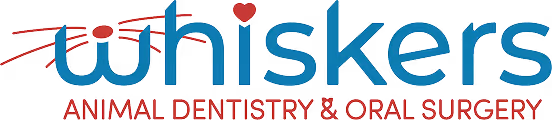 Whiskers Animal Dentistry & Oral Surgery logo with a heart above the letter 'i'.