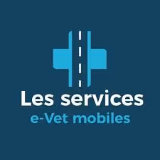 Logo with a stylized road forming a cross above the text Les services e-Vet mobiles on a dark blue background.