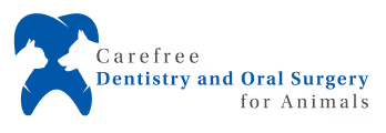Logo featuring a stylized dog face outline with text Carefree Dentistry and Oral Surgery for Animals.