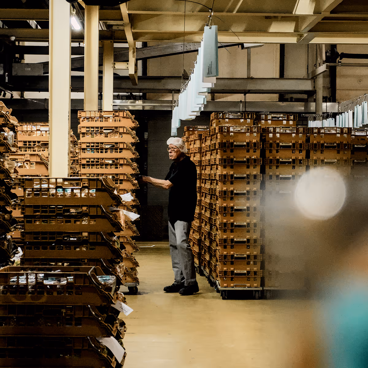 Werknemer in fabrieksomgeving met stapels dozen en hangende papieren tags.