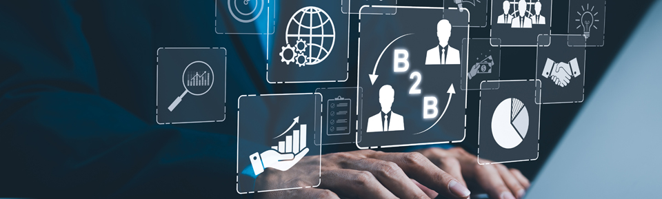 Data B2B