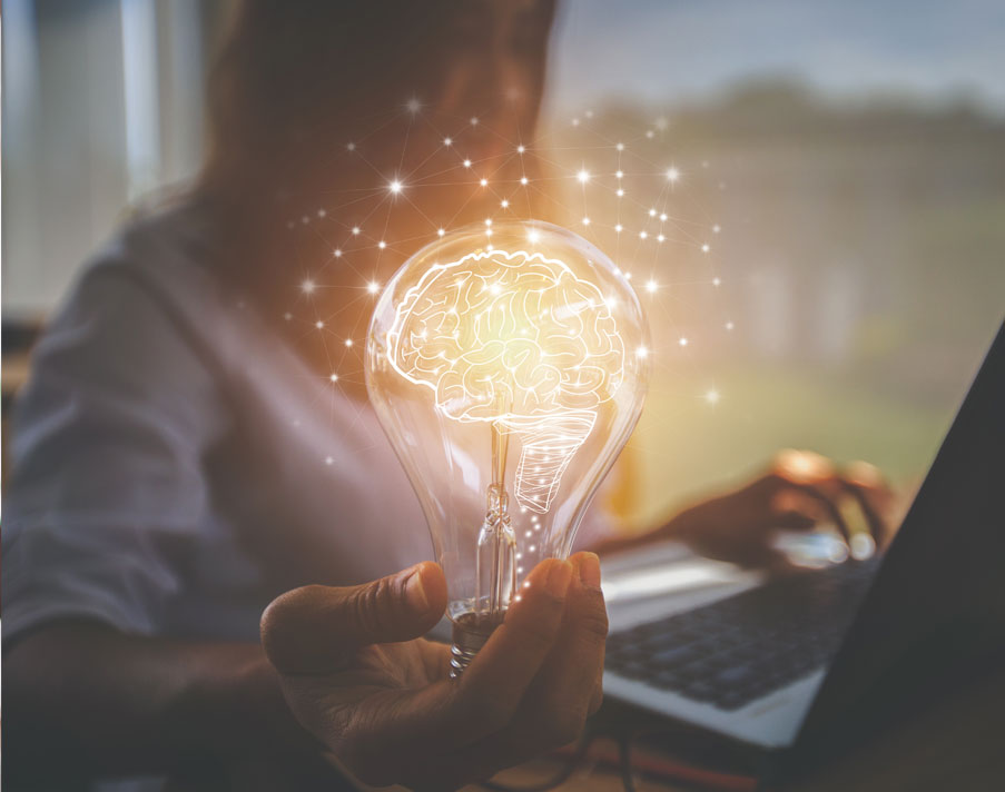Dispositif Editorial Innovation LSA Grande consommation