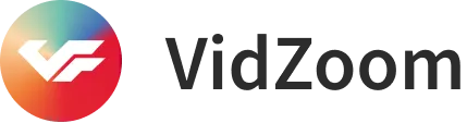 Vidzoom company logo with a stylized VF symbol inside a colorful circular gradient and the text Vidzoom in black.