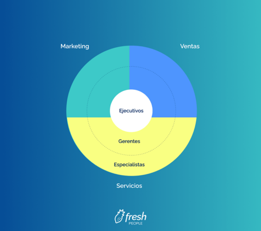 Organigrama empresa estructura circular
