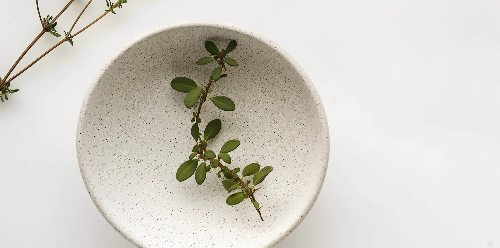 AI Agents Enhancing SaaS Customer Experience