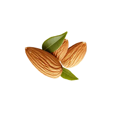 Almonds with leaves on a black background.