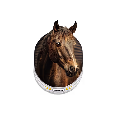 Close-up of a brown horse's head with a dark mane against a black background inside a circular frame labeled 'COMMON'.