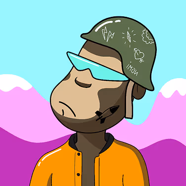 Cartoon monkey with a beard wearing a green helmet with drawings, blue sunglasses, and an orange jacket against a pink and blue mountain background.