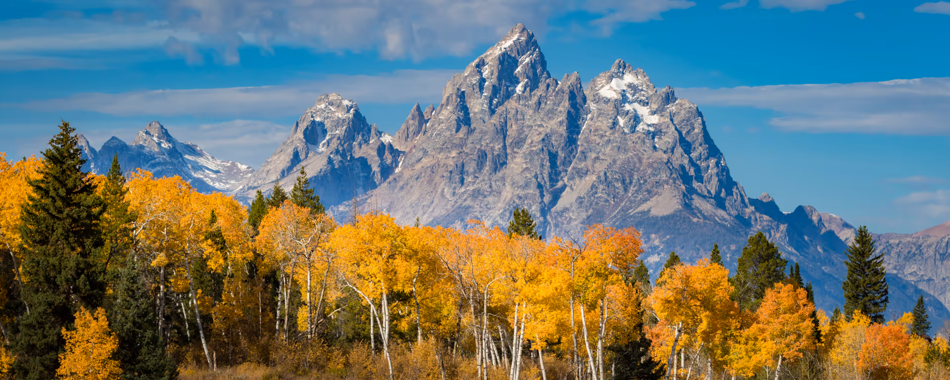 Snow-capped rugged mountain peaks behind a forest of trees with bright yellow autumn foliage under a partly cloudy blue sky.
