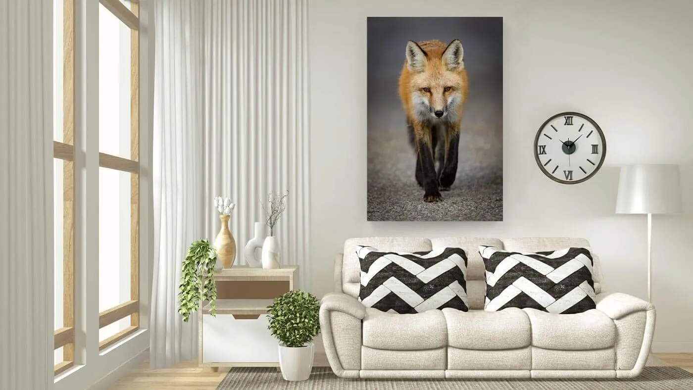Modern living room with a beige sofa, black and white chevron pillows, potted plants, and a wall art photo of a walking red fox.