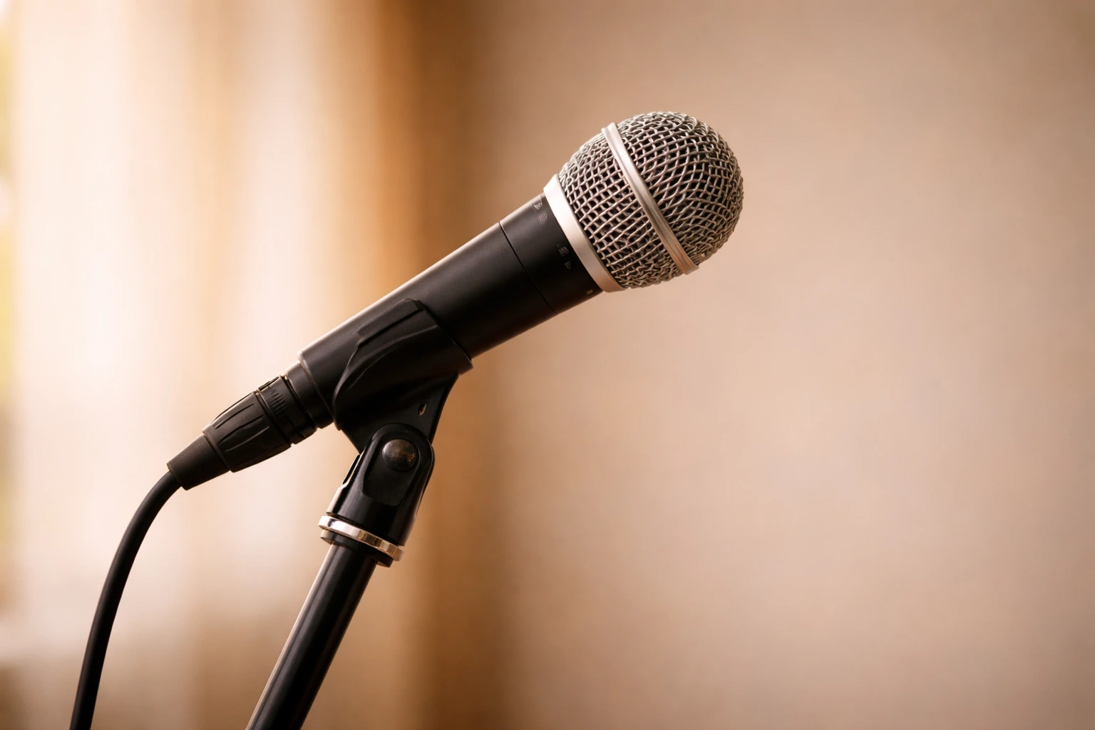 image of musician playing an instrument