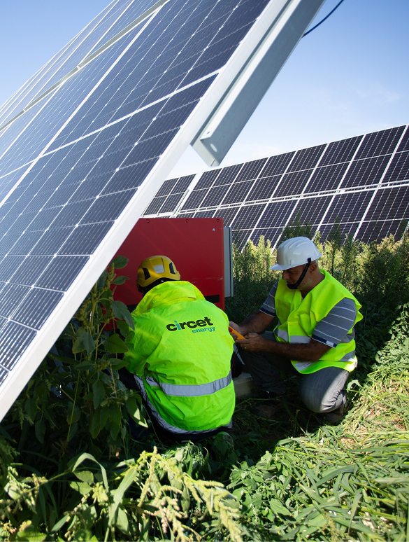 Two technicians inspecting solar panel installation for renewable energy infrastructure.