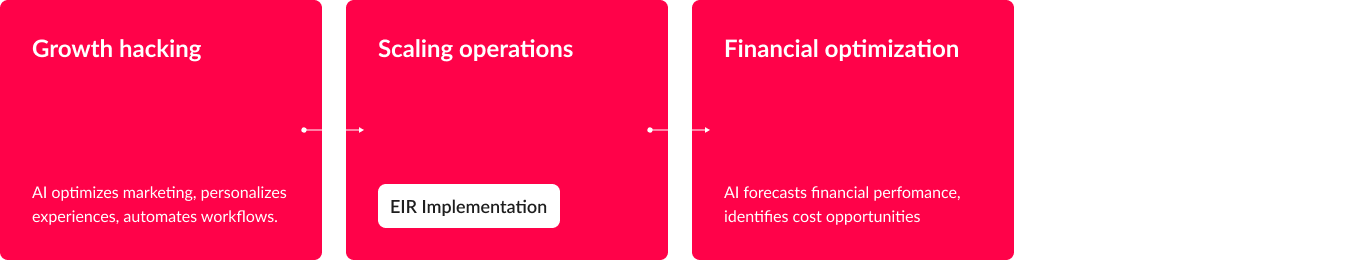Scale and Optimize stage — Growth hacking, Scaling operations, and Financial optimization