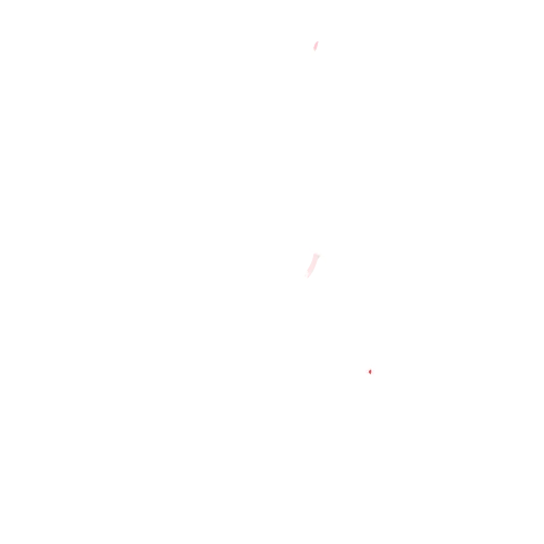 Logo Light