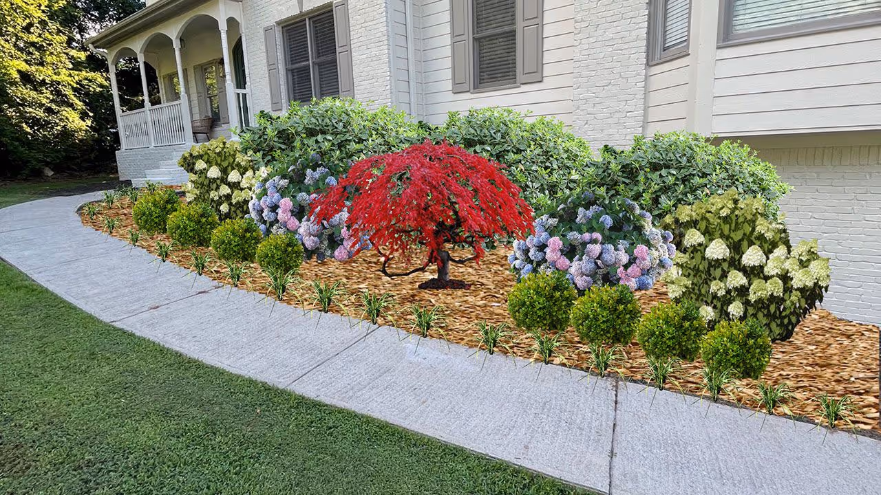professional landscaping installation and design in Georgia