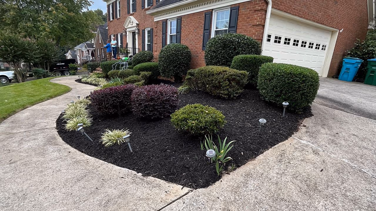 shrub and tree installation for residential landscaping Georgia