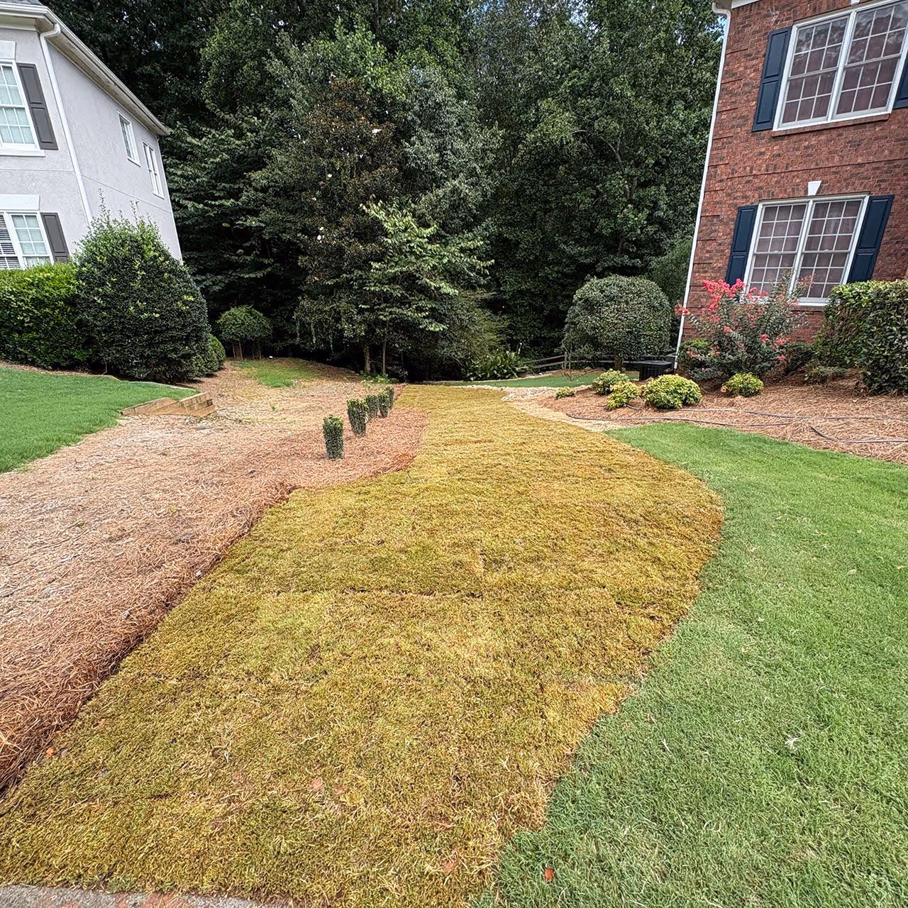 sod installation and plant installation services near me