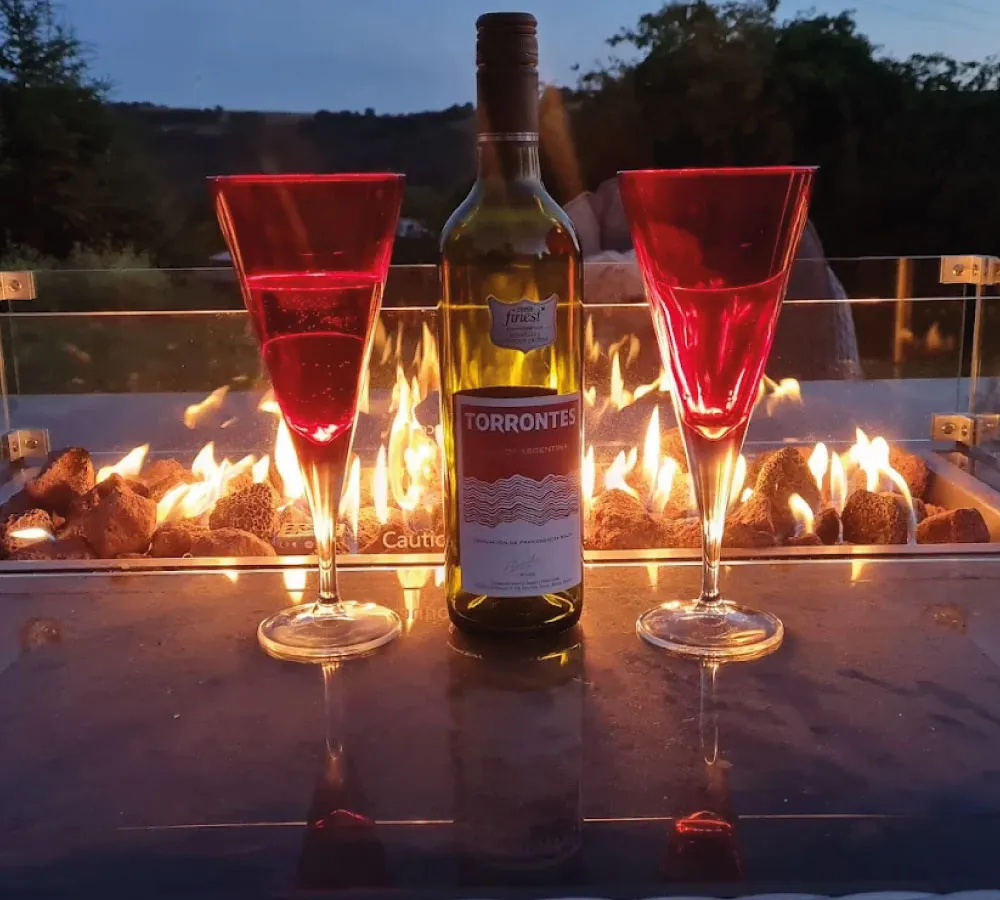 Bottle of Torrontes wine between two red wine glasses on a table with a fire pit burning in the background at dusk.