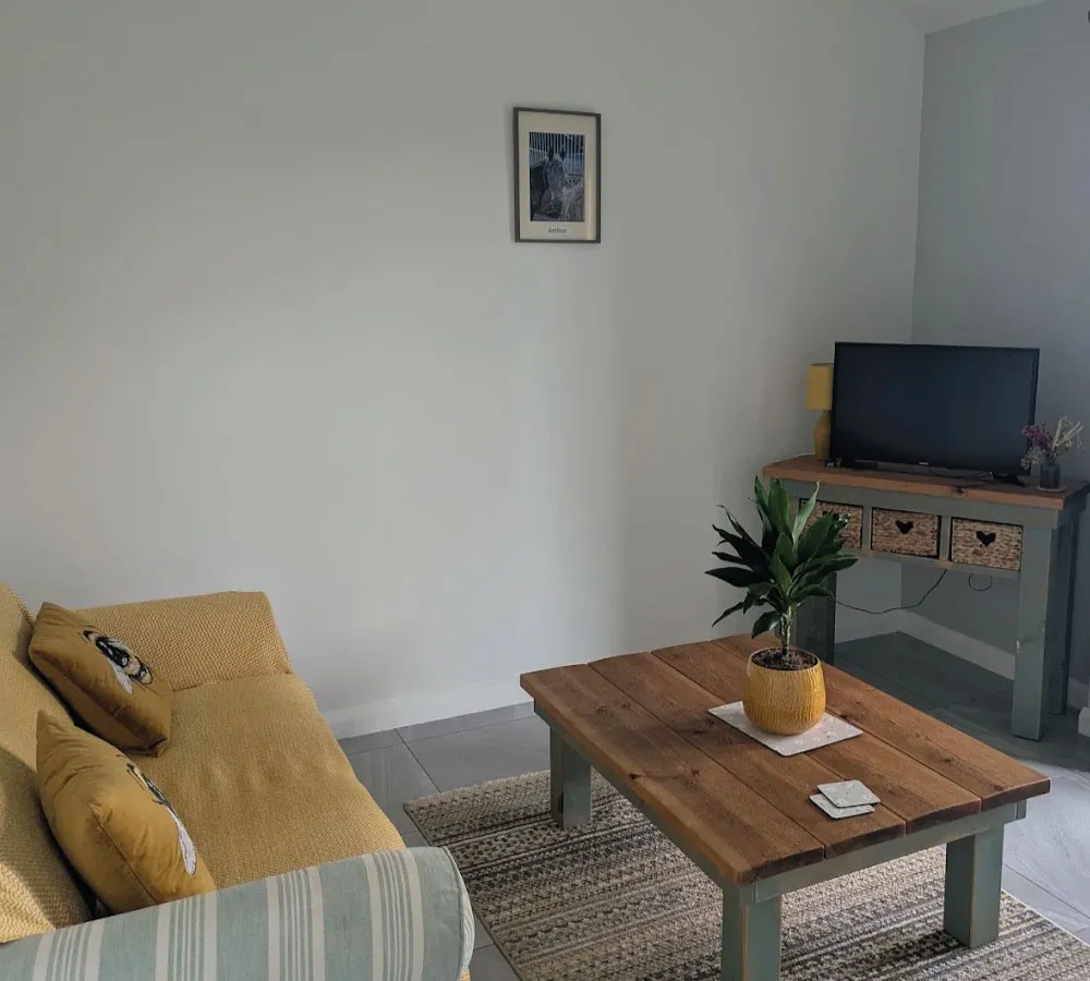 Cozy living room with mustard yellow sofa, wooden coffee table with a potted plant, TV on a console table, and a small framed picture on the wall.