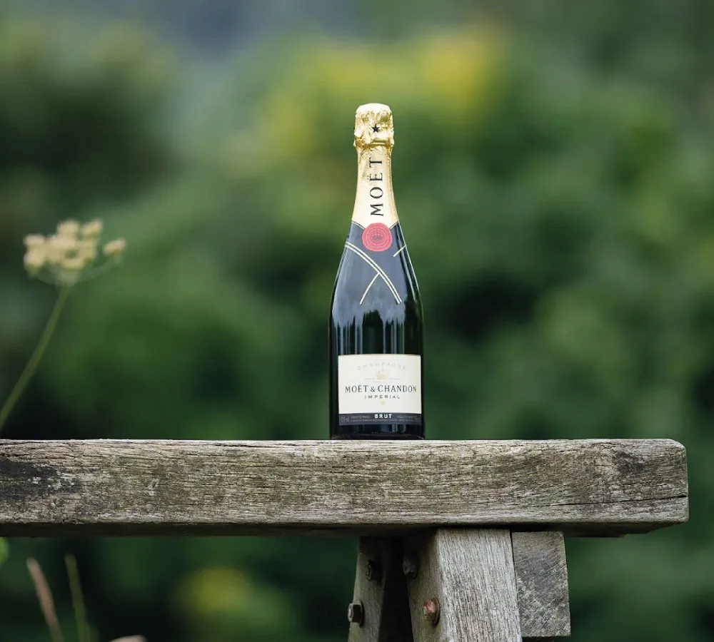 Bottle of Moët & Chandon champagne placed on a weathered wooden bench outdoors with blurred green foliage background.