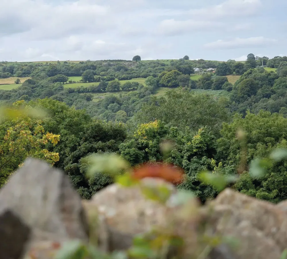 Rolling green countryside with dense clusters of trees and a cloudy sky.