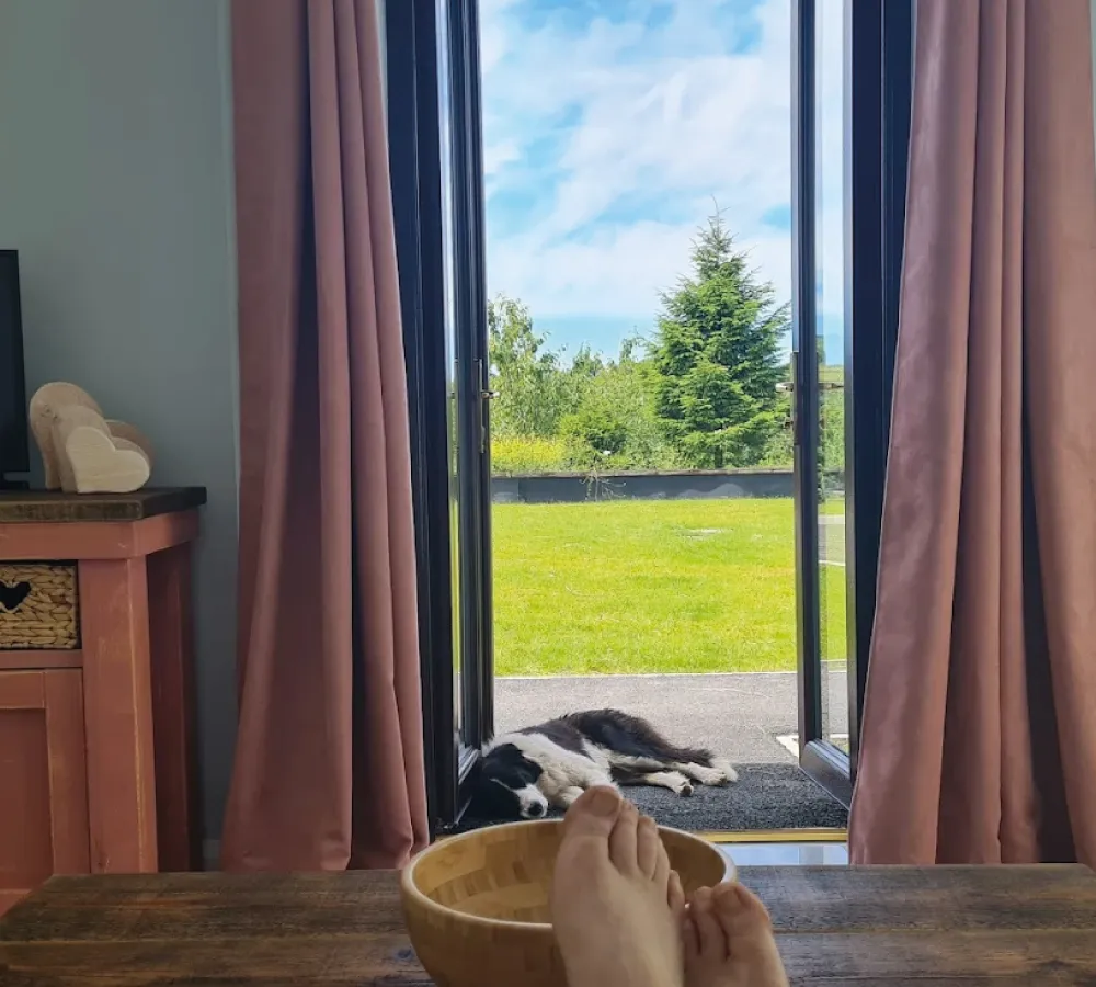 Person's feet resting on a wooden table with a bowl, looking out through open glass doors to a dog lying on a doorstep and a green yard with trees under a blue sky.