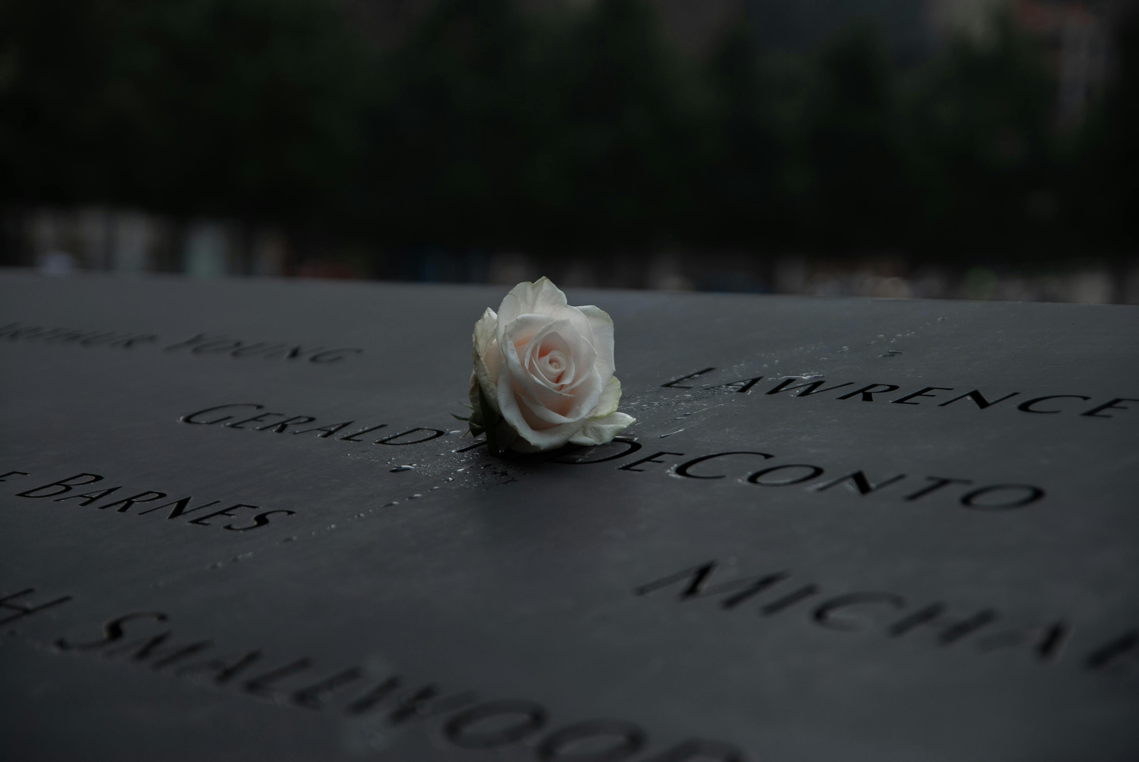 Blog Post | When Sirens Fade: A 9/11 Reflection on Love, Loss, and Rising
