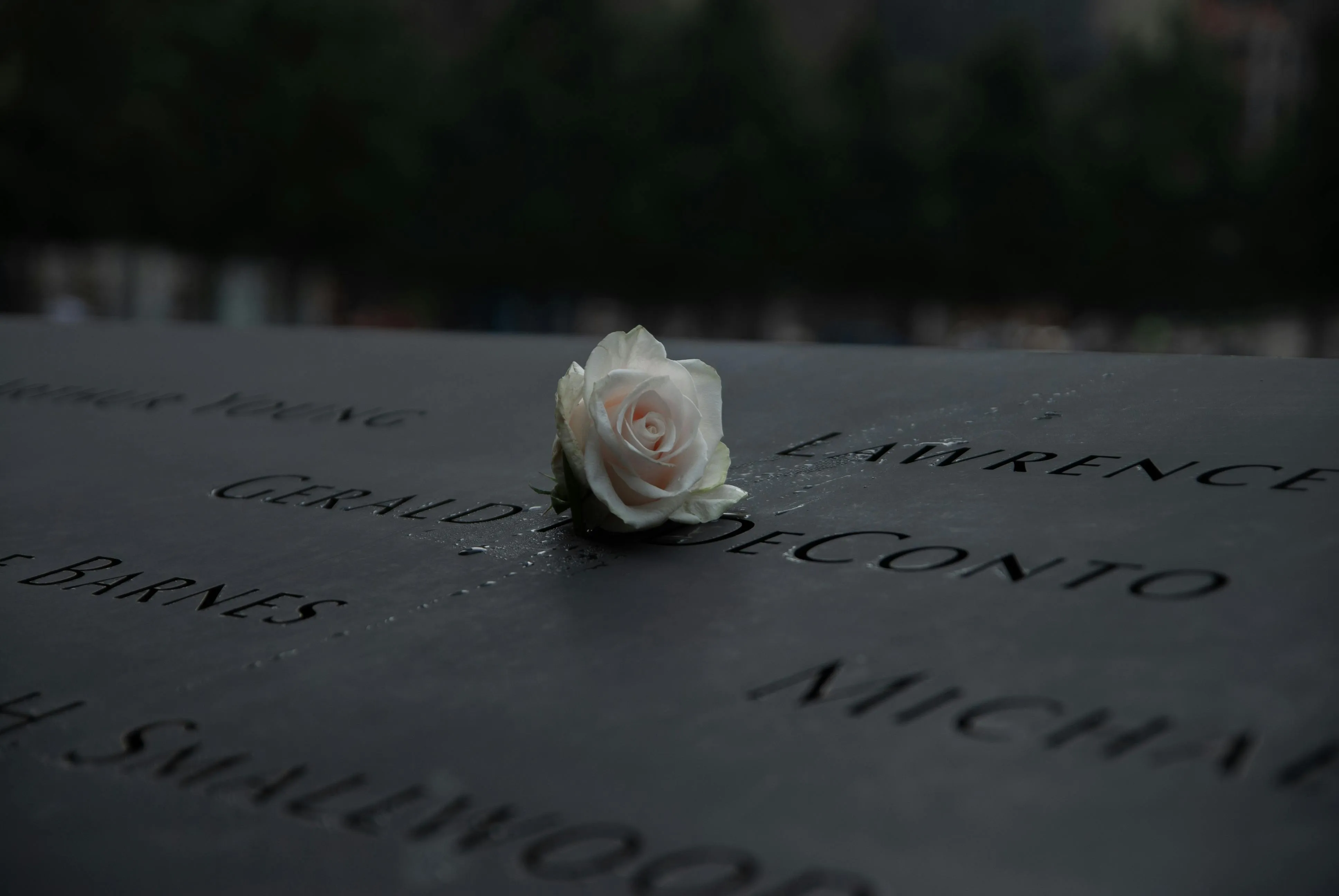 Blog Post | When Sirens Fade: A 9/11 Reflection on Love, Loss, and Rising