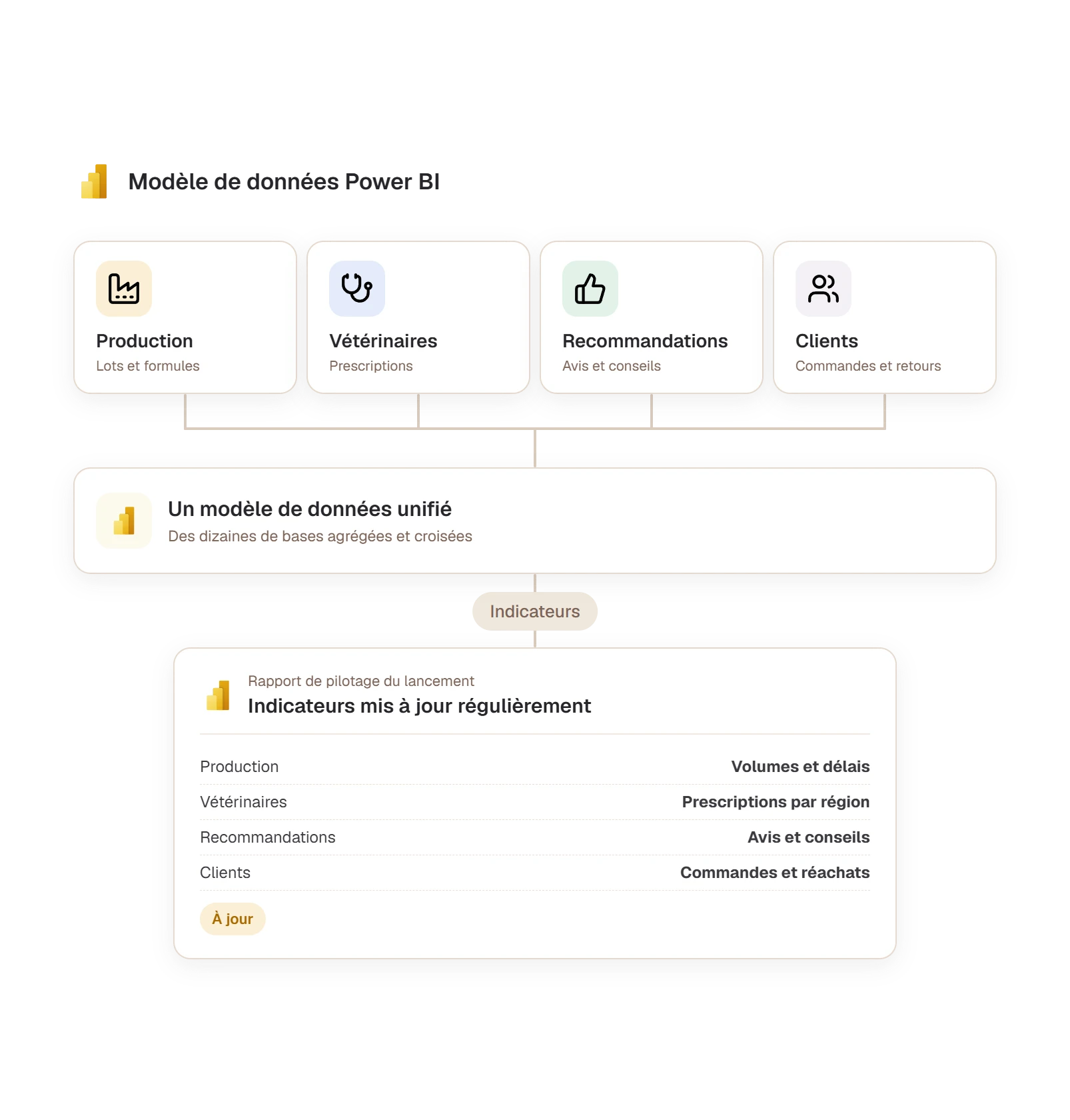 Modèle de données Power BI qui réunit production, vétérinaires, recommandations et clients
