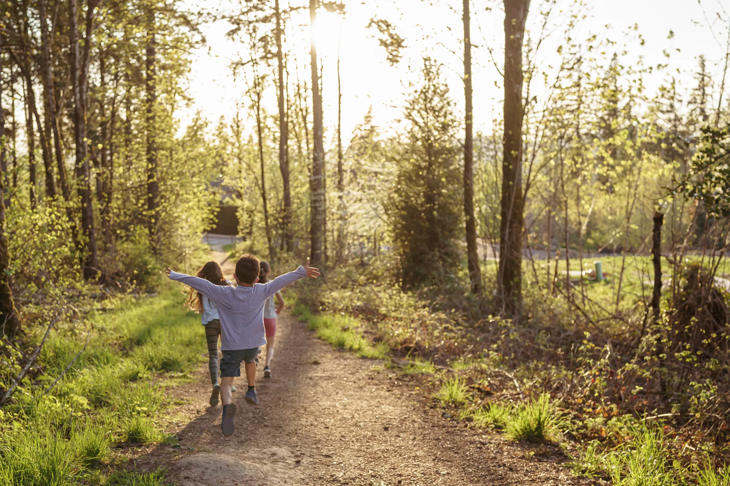 Three children running and skipping down a sunlit forest trail surrounded by green trees.