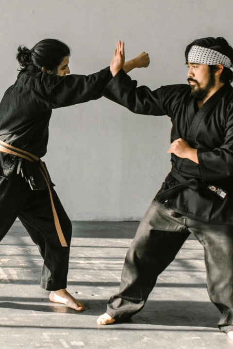 Martial Arts