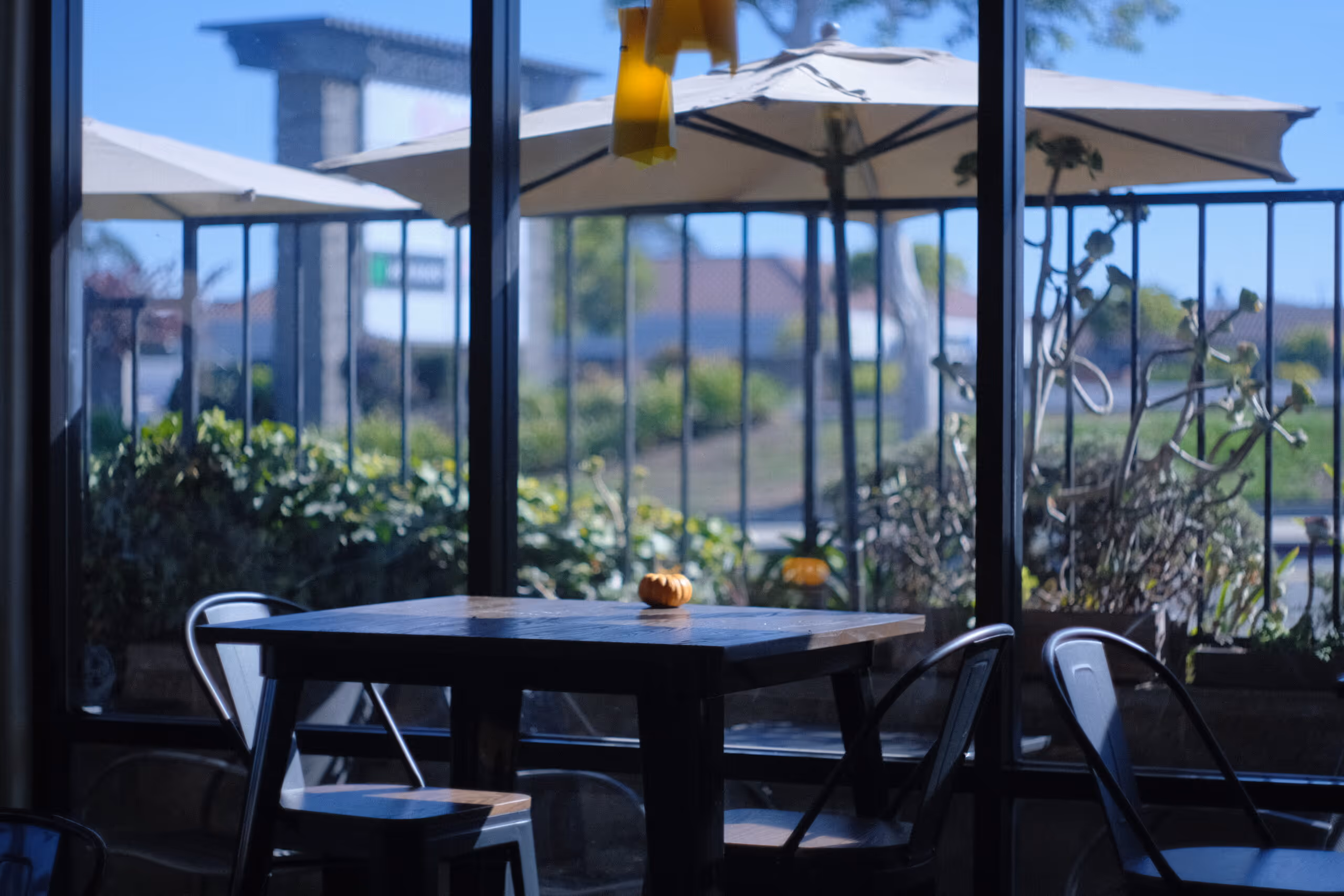Small wooden table with a tiny pumpkin on top, surrounded by metal chairs inside a room with large glass windows showing outdoor umbrellas and greenery.
