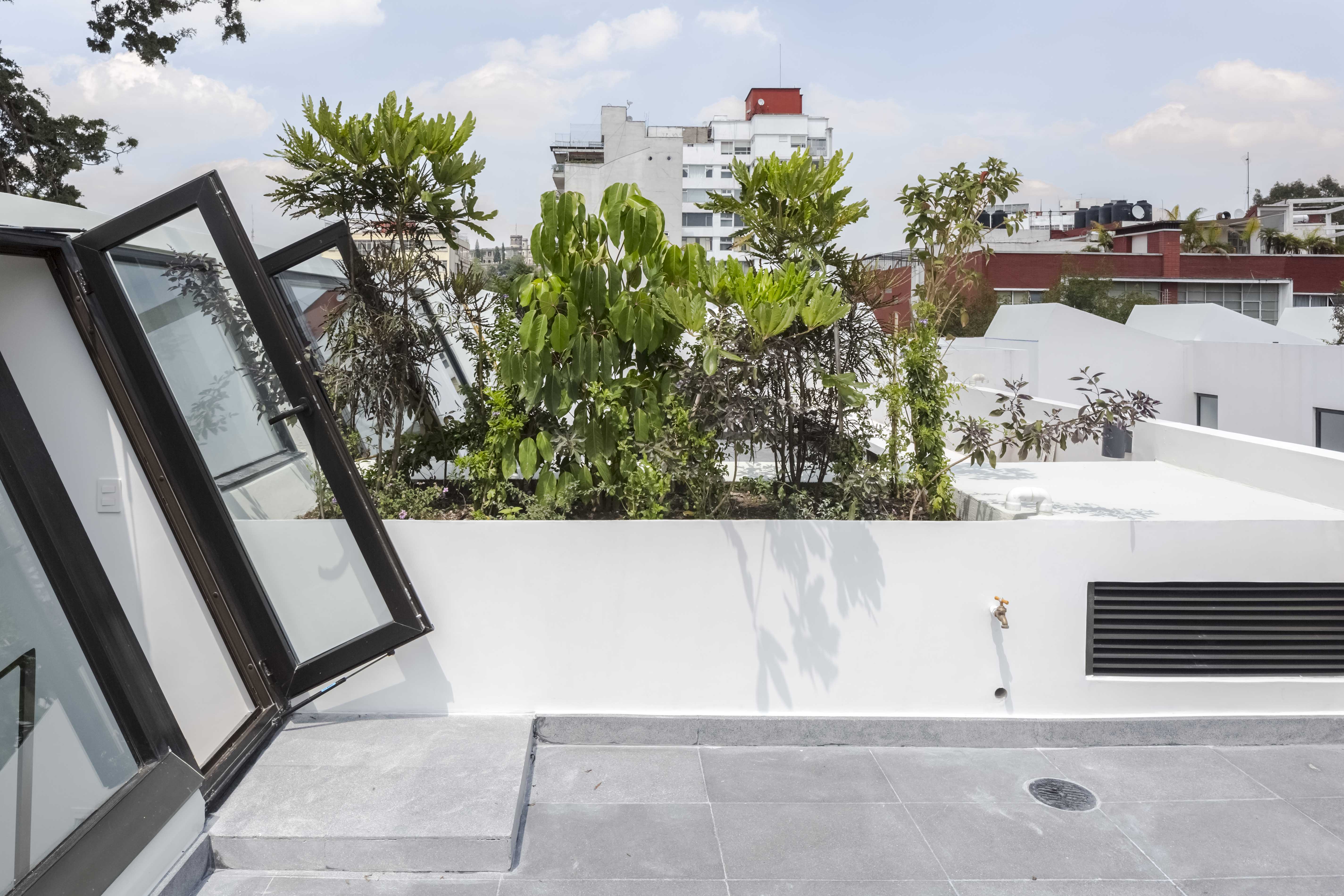 Pachuca 2 · Detail