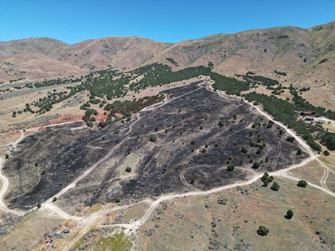 An aerial view of a hillside restoration area showing targeted plantings and trail networks designed to protect and rehabilitate the landscape.