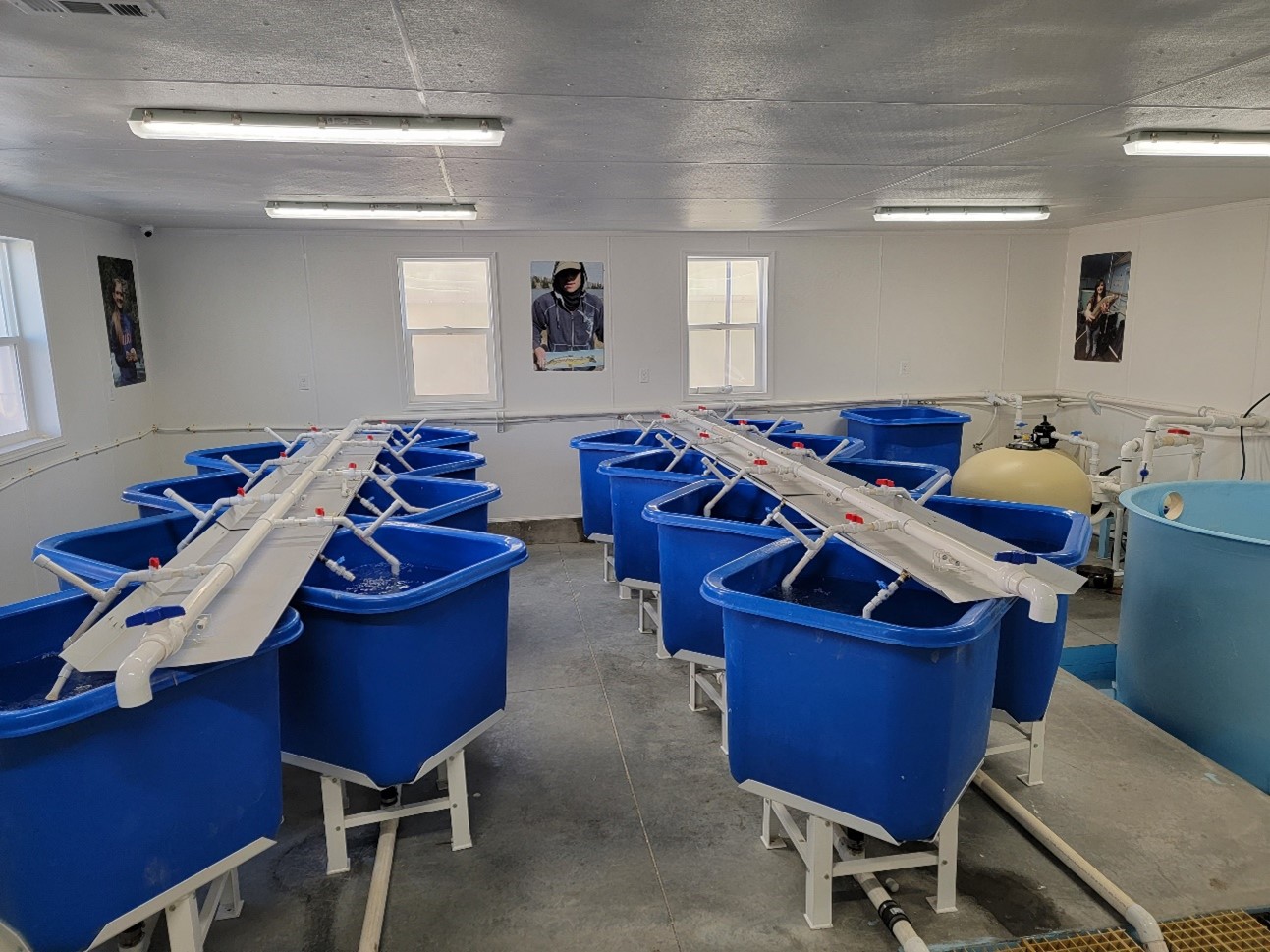 Interior view of the new Mackay High School fish lab featuring rows of specialized blue circular tanks for rearing cold-water trout.