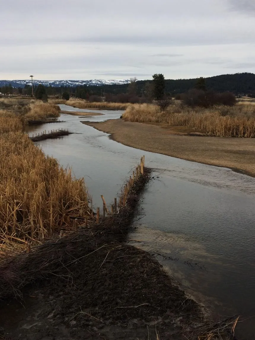 Restored riparian bank on the North Fork Payette River near Cascade, stabilized through a partnership with Trout Unlimited and multiple state, local, and educational partners.