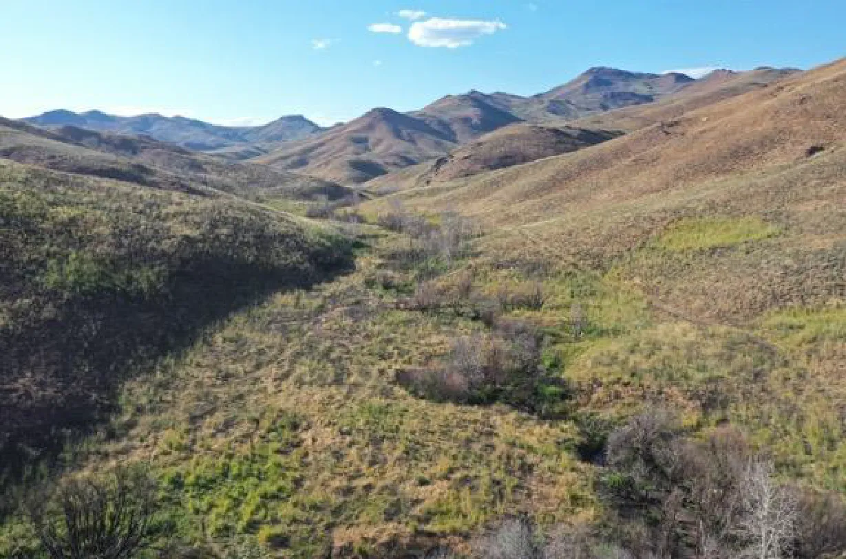 Muldoon Creek, in the Little Wood River watershed, located in the Pioneer Mountains of central Idaho