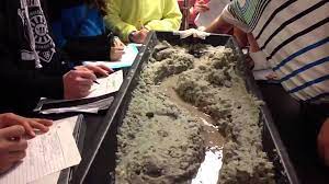 Students gathered around a hands-on stream table, using sand and water to model river flow, erosion, and the importance of healthy riparian zones.
