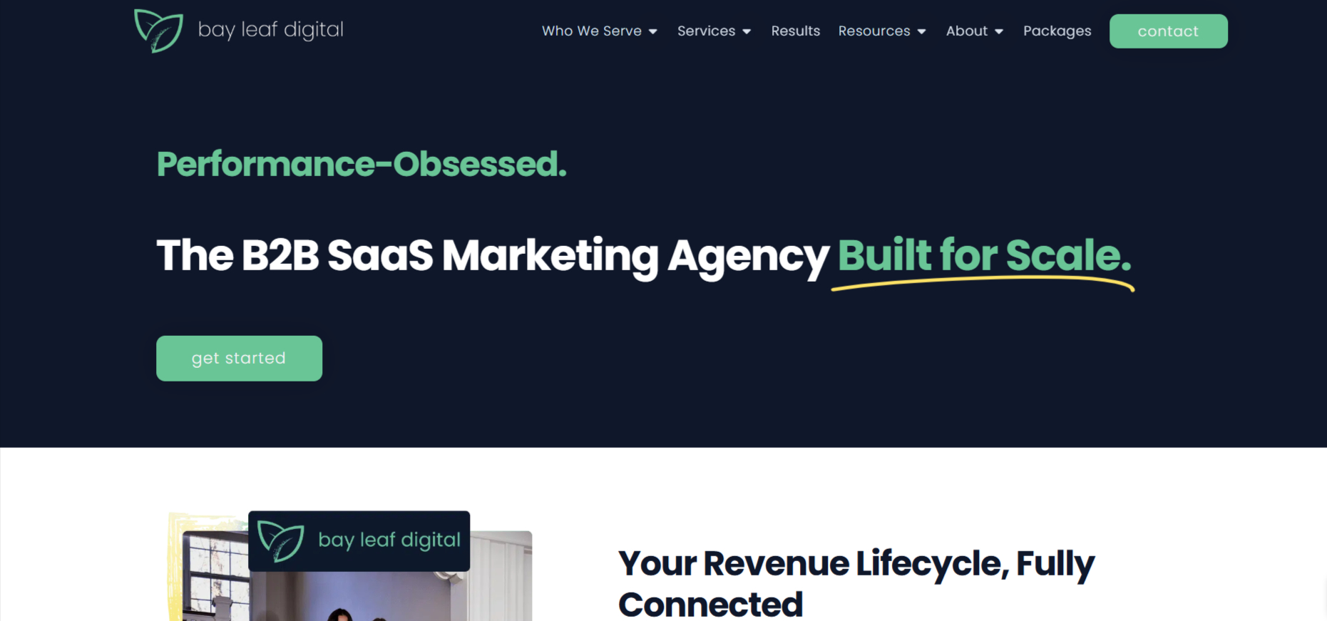 Bay Leaf Digital homepage
