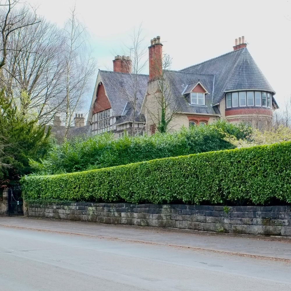 tree surgeons in cheshire