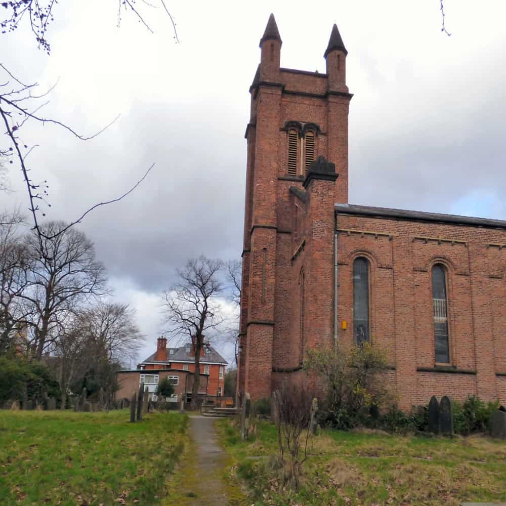 tree surgeons in withington