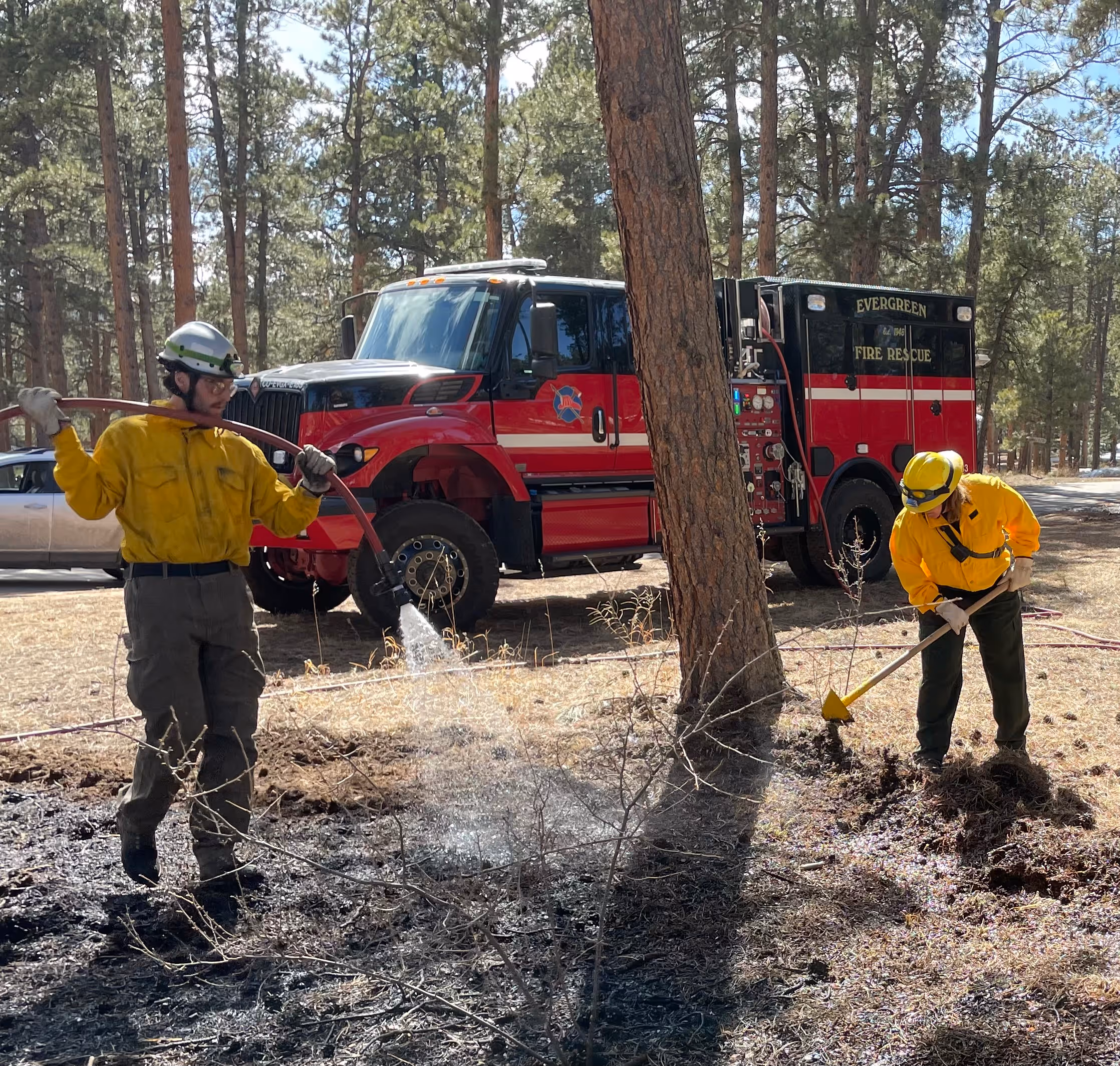 Two firefighters in yellow shirts extinguishing a small ground fire near evergreen trees with a fire truck in the background.